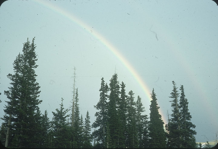 SCAN_43_1