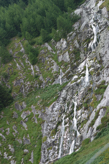 IMG_4592